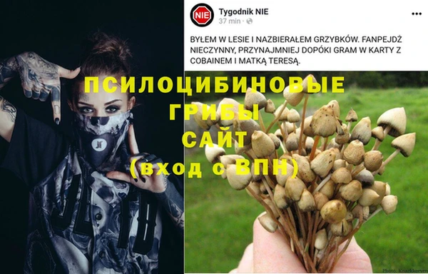 гашишное масло Абаза