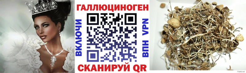 Галлюциногенные грибы мухоморы  дарнет шоп  Трубчевск 