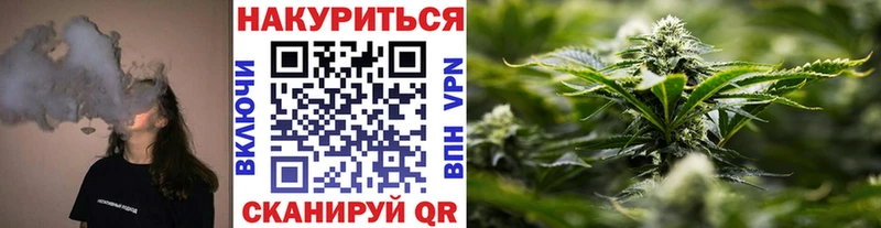Конопля семена  наркотики  kraken ССЫЛКА  Трубчевск 